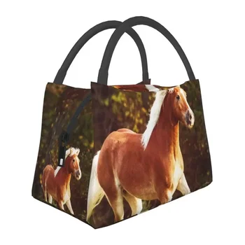 Термоизолированные чанти за обяд Haflinger Horse, Женски контейнери за обяд с възможност за повторна употреба, във формата на животни, Многофункционална кутия за храна за къмпинг и пътешествия