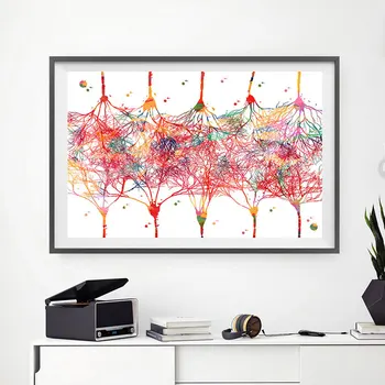 Невроните На мозъчната кора, Плакатные връзка между пирамидальными неврони, Акварел печат върху платно, Изображение на мозъка, Монтиране на изкуството за домашен интериор