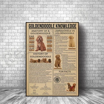 Плакат с информация за животни Goldendoodle, стенен ретро постер с куче, подарък за любителите на животни и кучета
