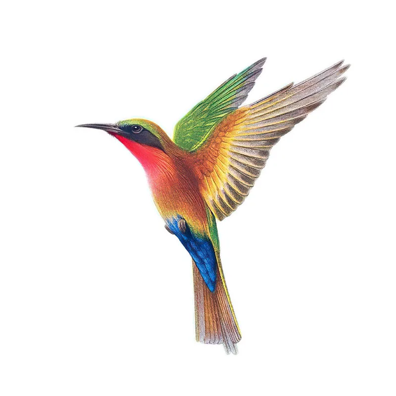 LYKX Красива колибри, ръчно рисувани, стикер с птици, за декорация на дома, стикер на тоалетна . ' - ' . 1
