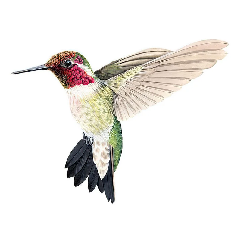 LYKX Красива колибри, ръчно рисувани, стикер с птици, за декорация на дома, стикер на тоалетна . ' - ' . 3